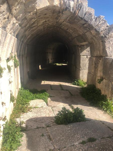 Miletus / Miletus / Balat | Daily Culture Tours